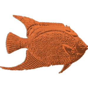Fish2-CL